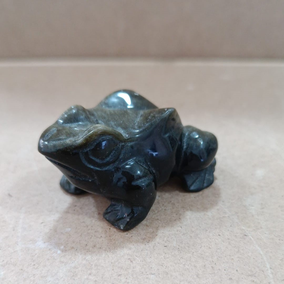 Ranas variadas
