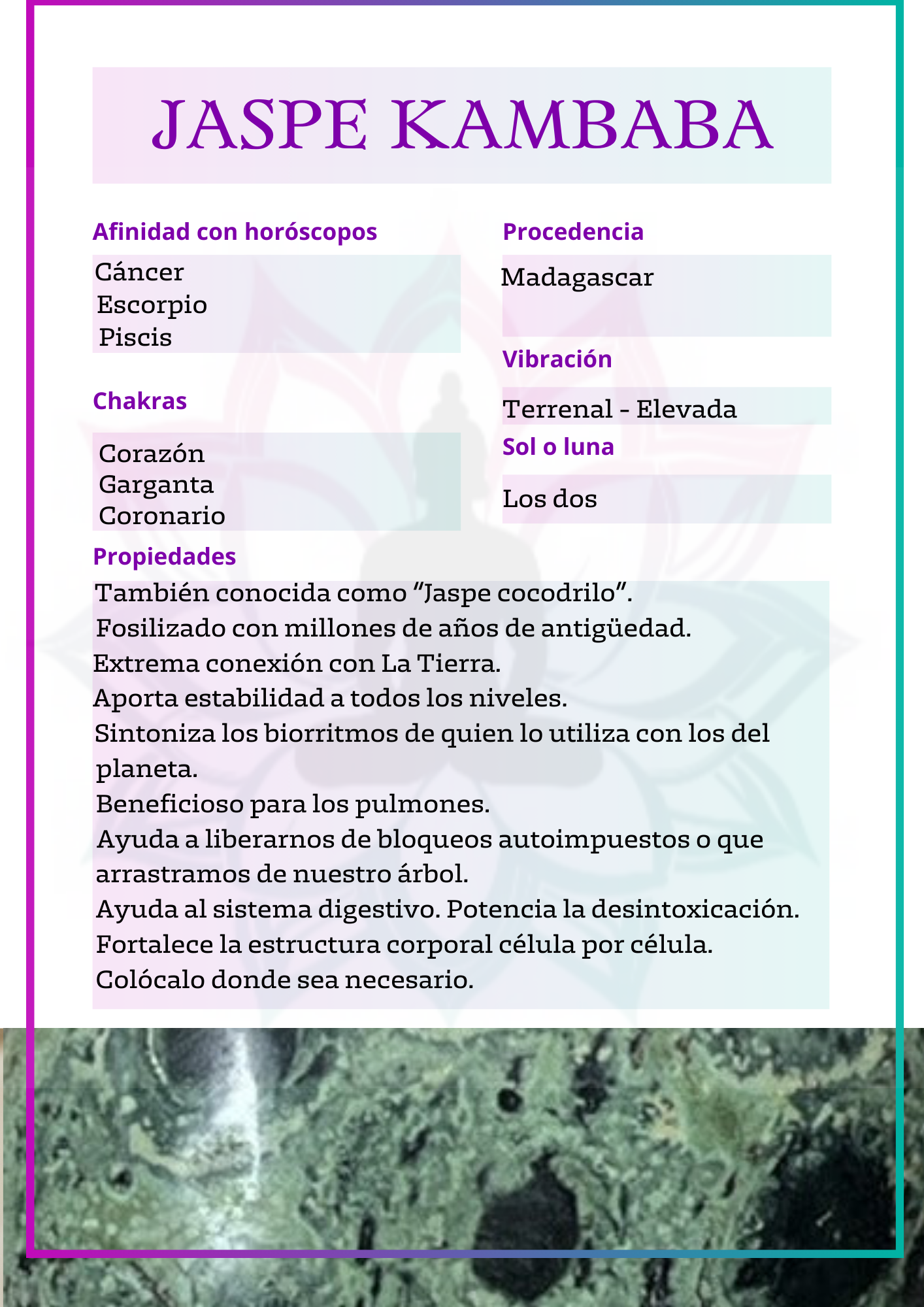 Canto rodado de Jaspe kambaba (jaspe cocodrilo)