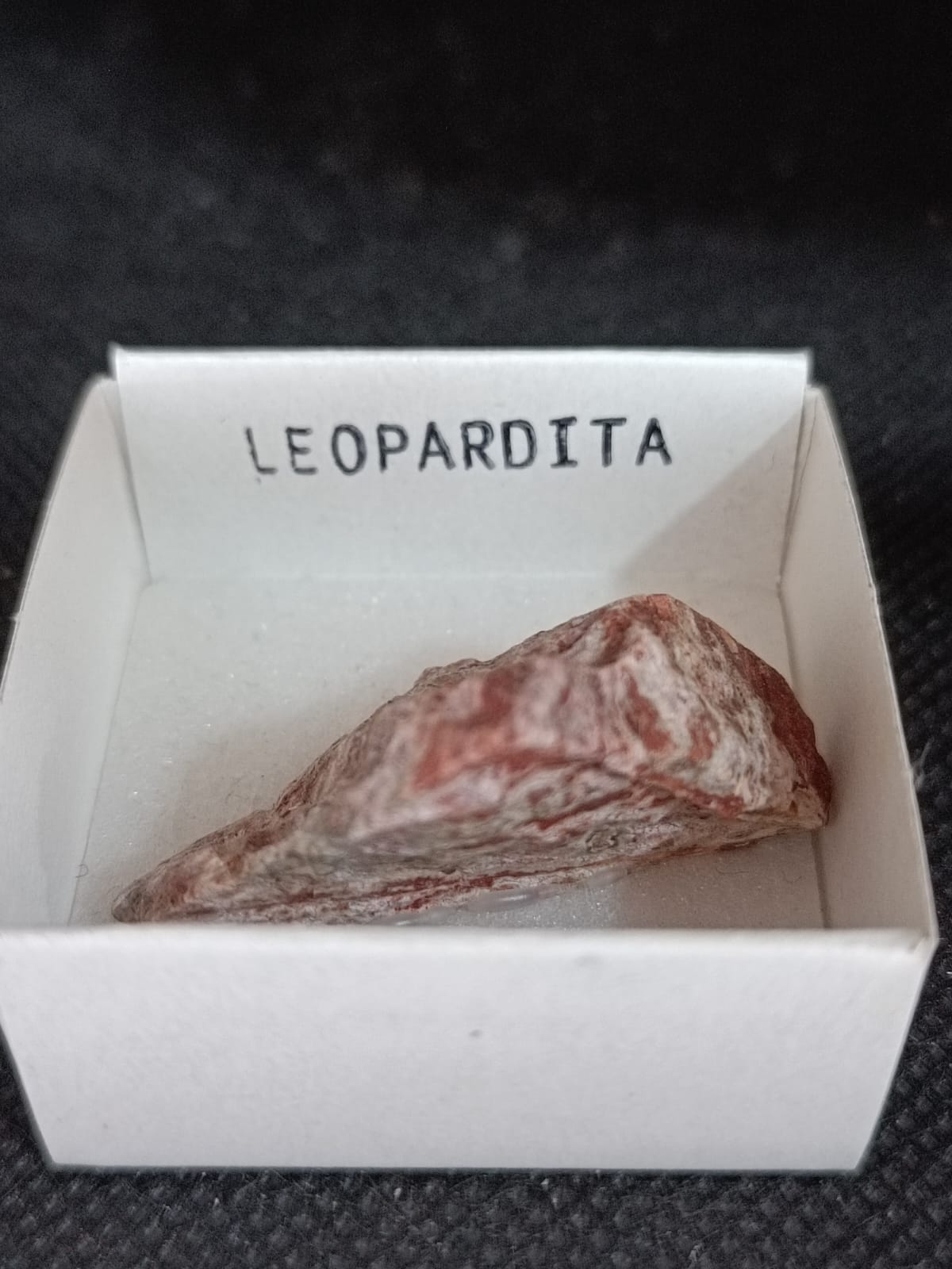 Mineral de colección Leopardita (Jaspe leopardo)