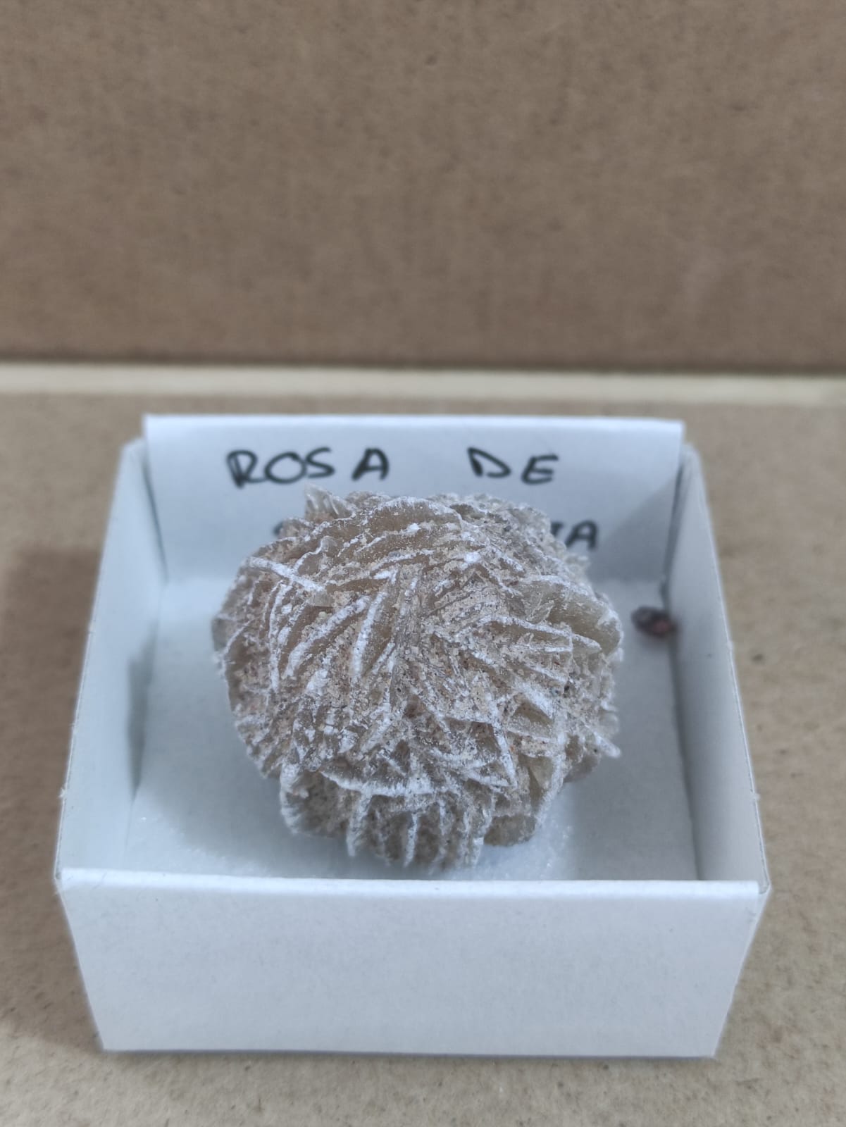 Mineral de colección Rosa de selenita