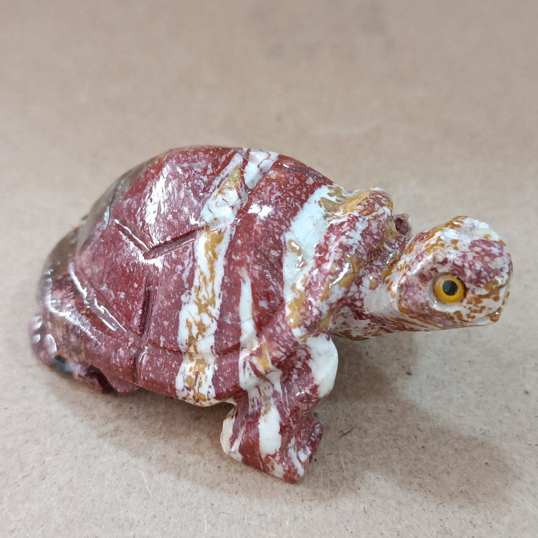 Tortuga de Serpentina