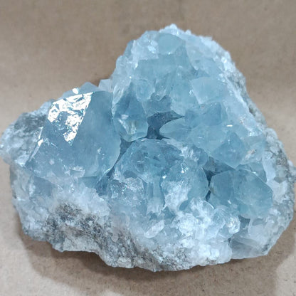 Drusa de celestina
