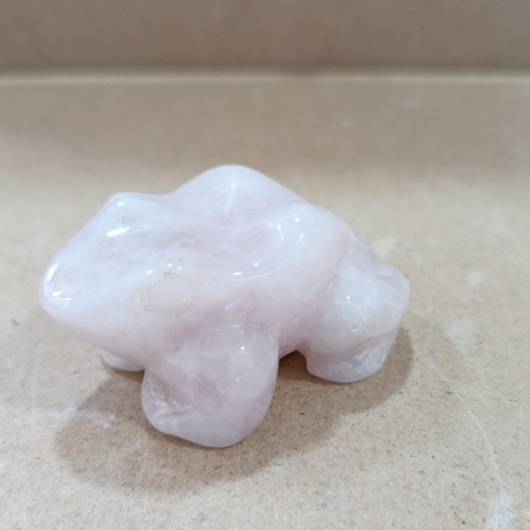 Ranas variadas