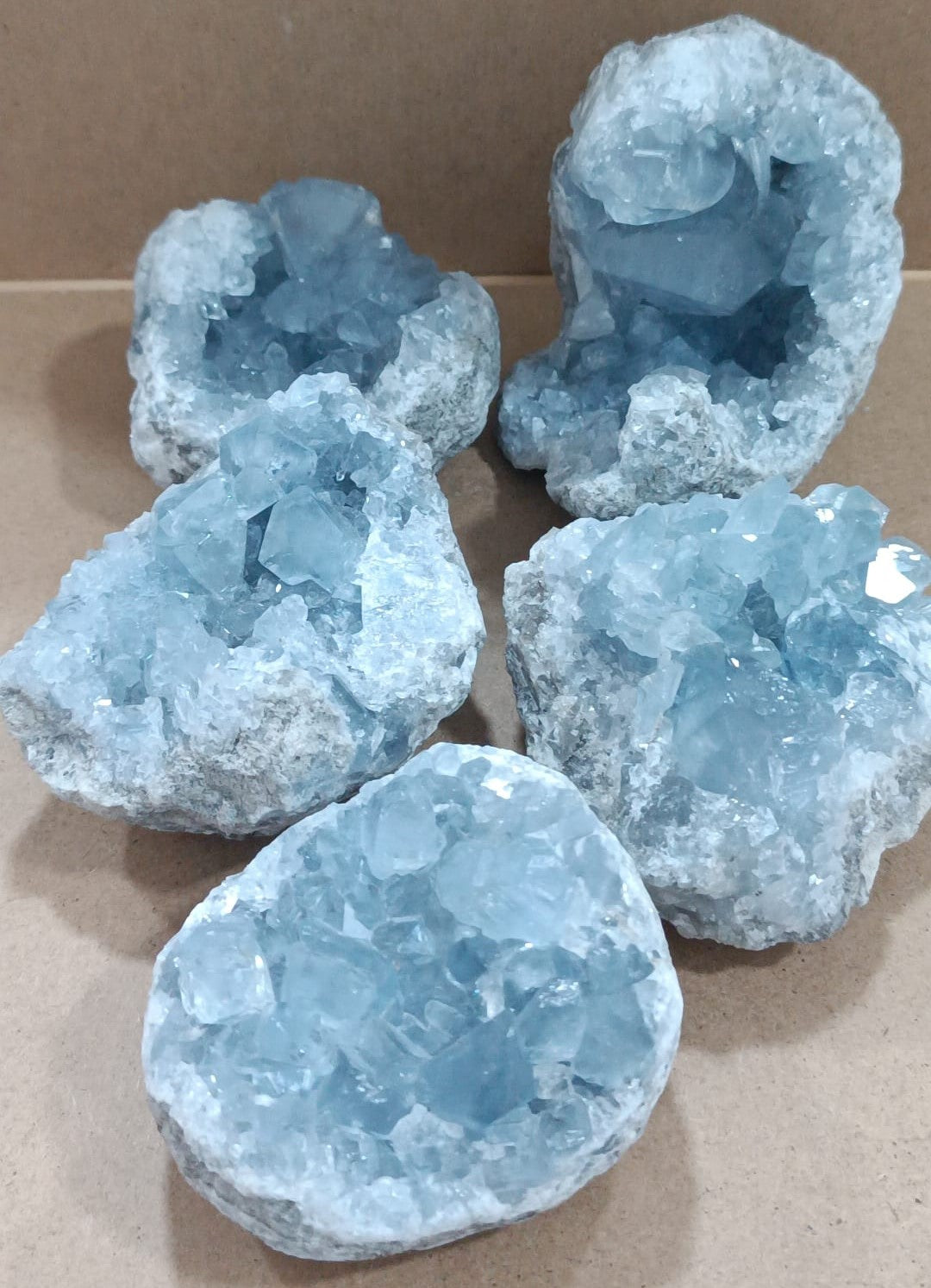 Drusa de celestina