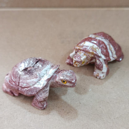 Tortuga de Serpentina
