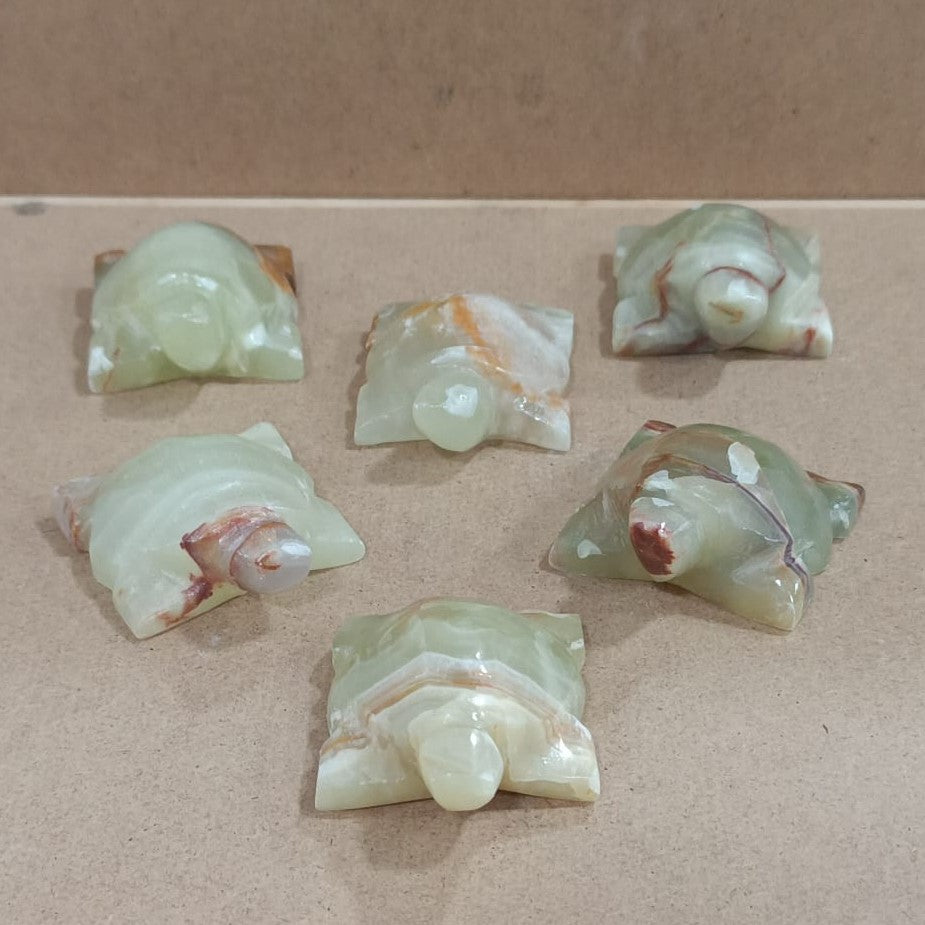 Tortuga de Ónix verde
