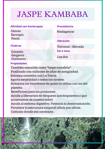 Canto rodado de Jaspe kambaba (jaspe cocodrilo)