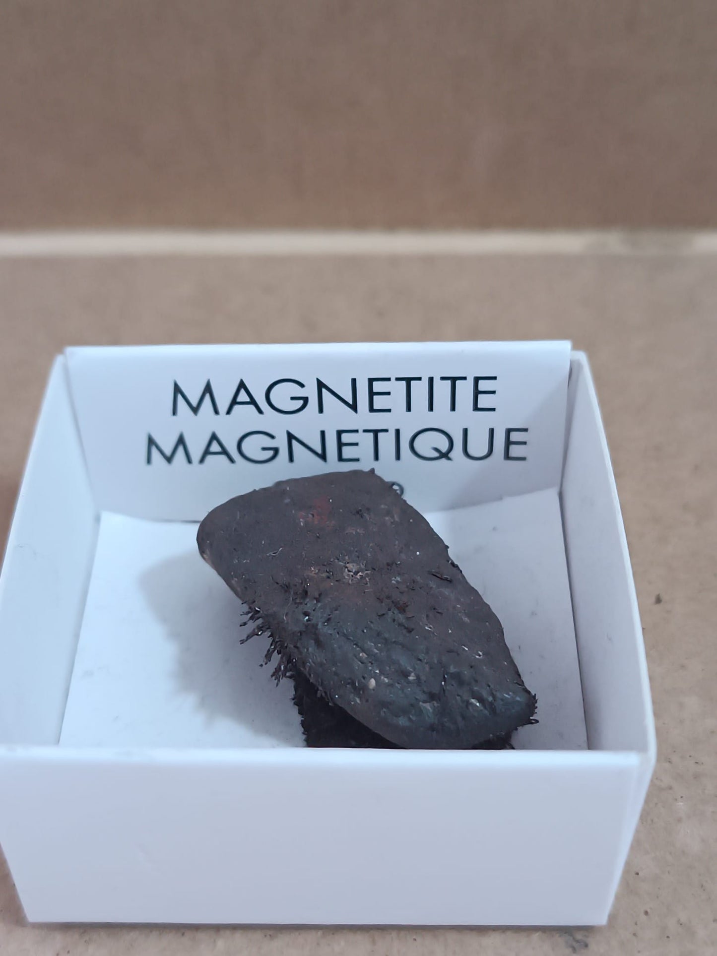 Mineral de colección Magnetita magnética
