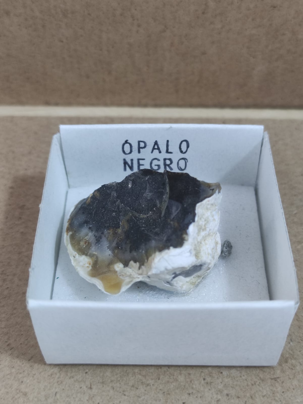 Mineral de colección Ópalo negro
