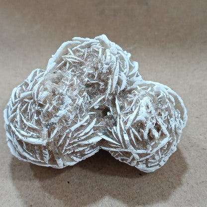 Rosa del desierto (México)