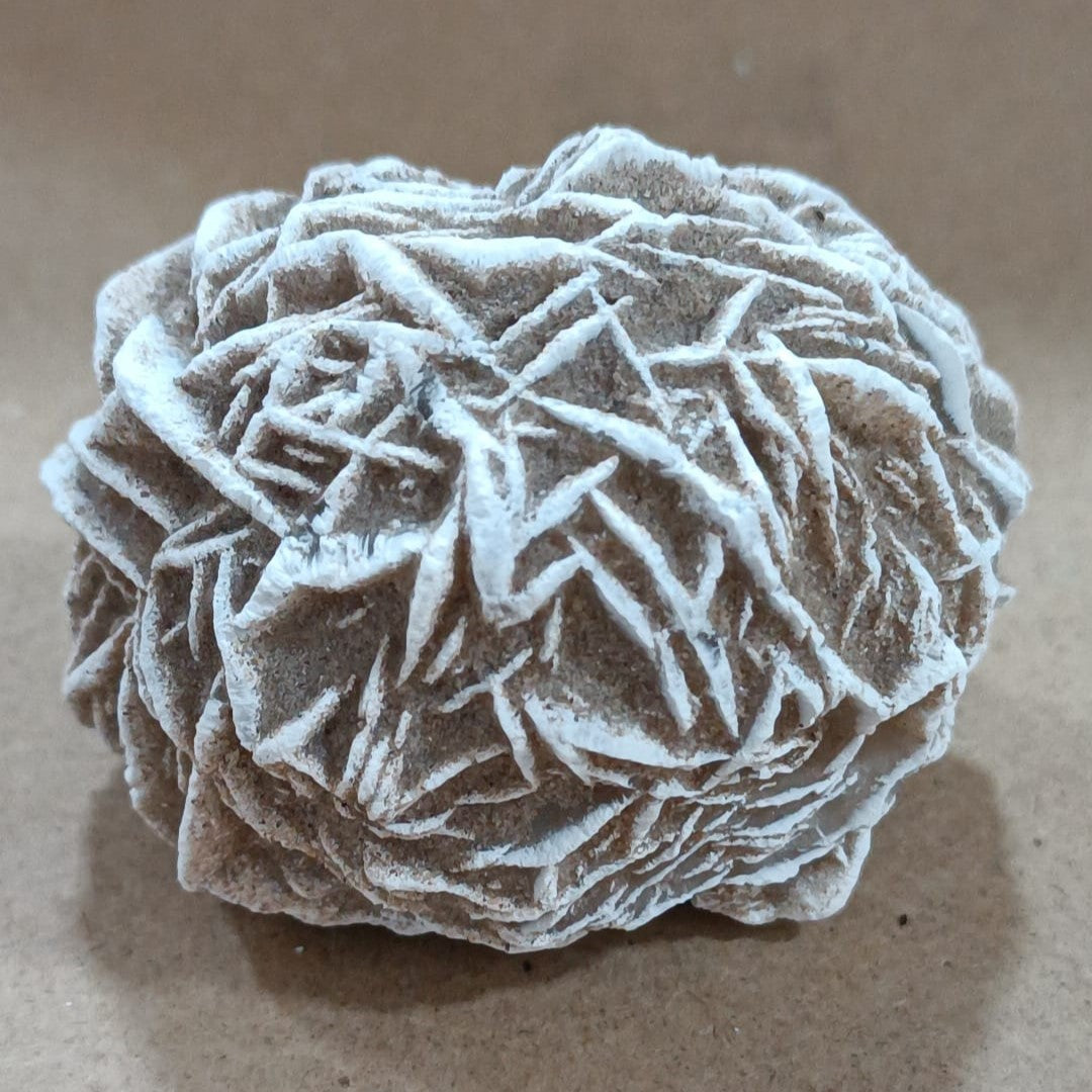 Rosa del desierto (México)