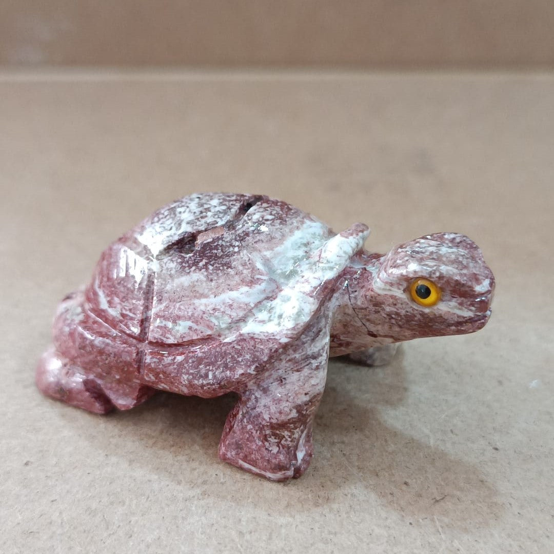 Tortuga de Serpentina
