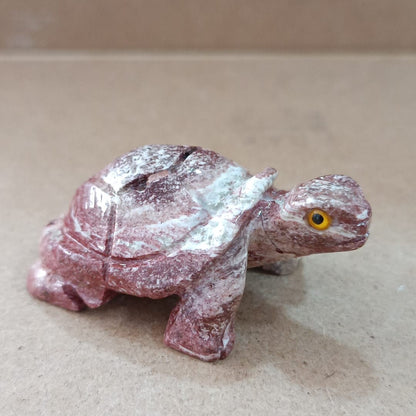Tortuga de Serpentina