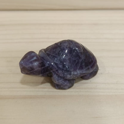 Tortuga variada