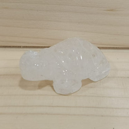 Tortuga variada