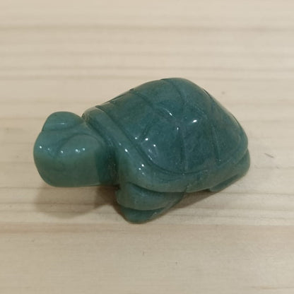 Tortuga variada