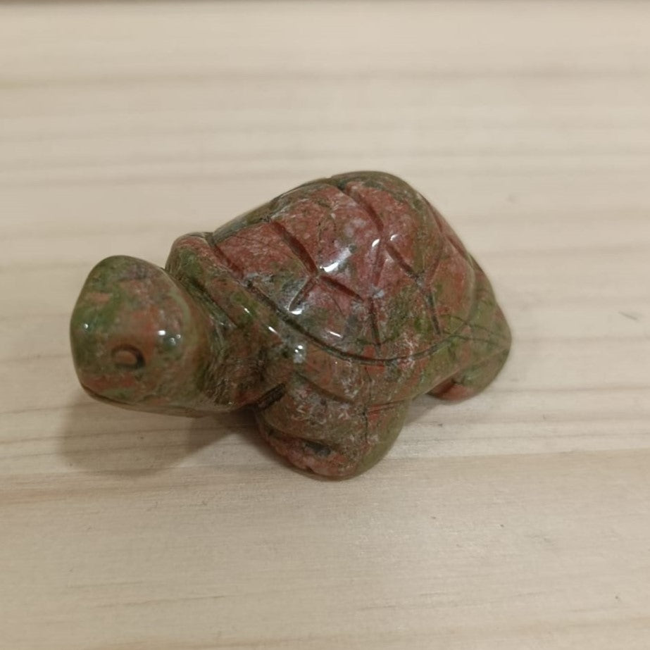 Tortuga variada