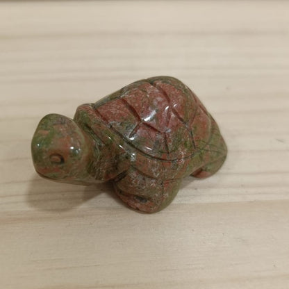 Tortuga variada