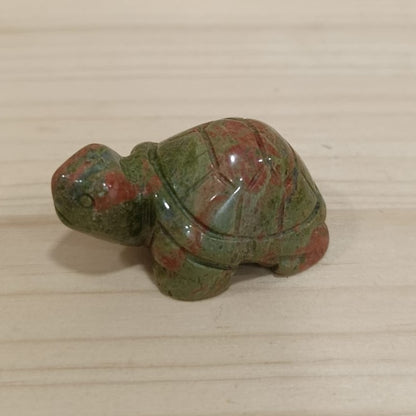 Tortuga variada