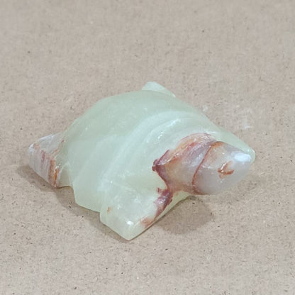Tortuga de Ónix verde