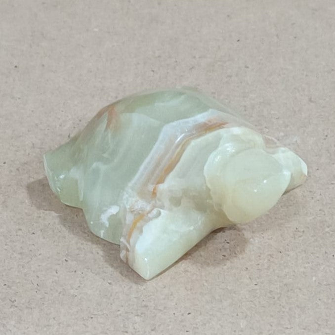 Tortuga de Ónix verde