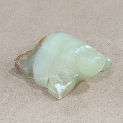 Tortuga de Ónix verde
