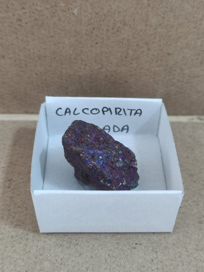 Mineral de colección Calcopirita irisada