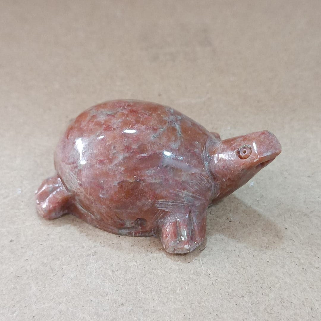 Tortuga de Esteatita